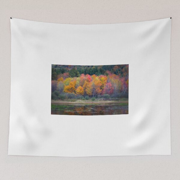 Item preview, Burst of Fall designed and sold by Gerard Fornarotto.