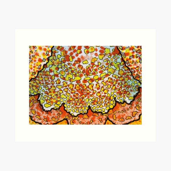 2, Inset A Art Print