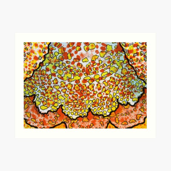 2, Inset A Art Print