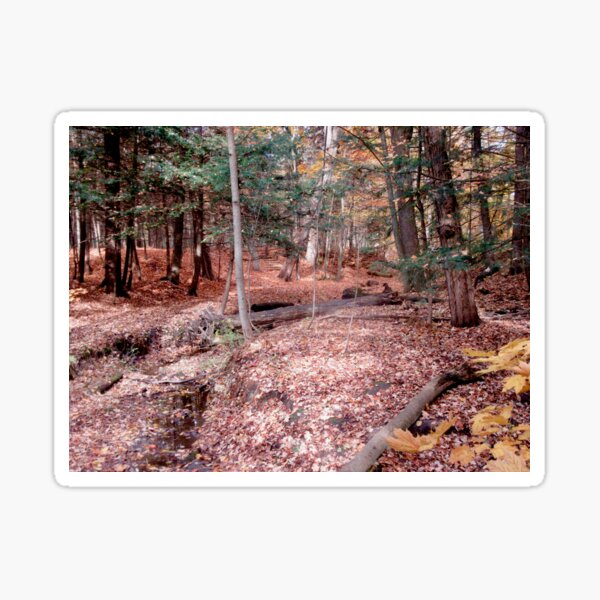 Item preview, Beautiful forest designed and sold by Shulie1.