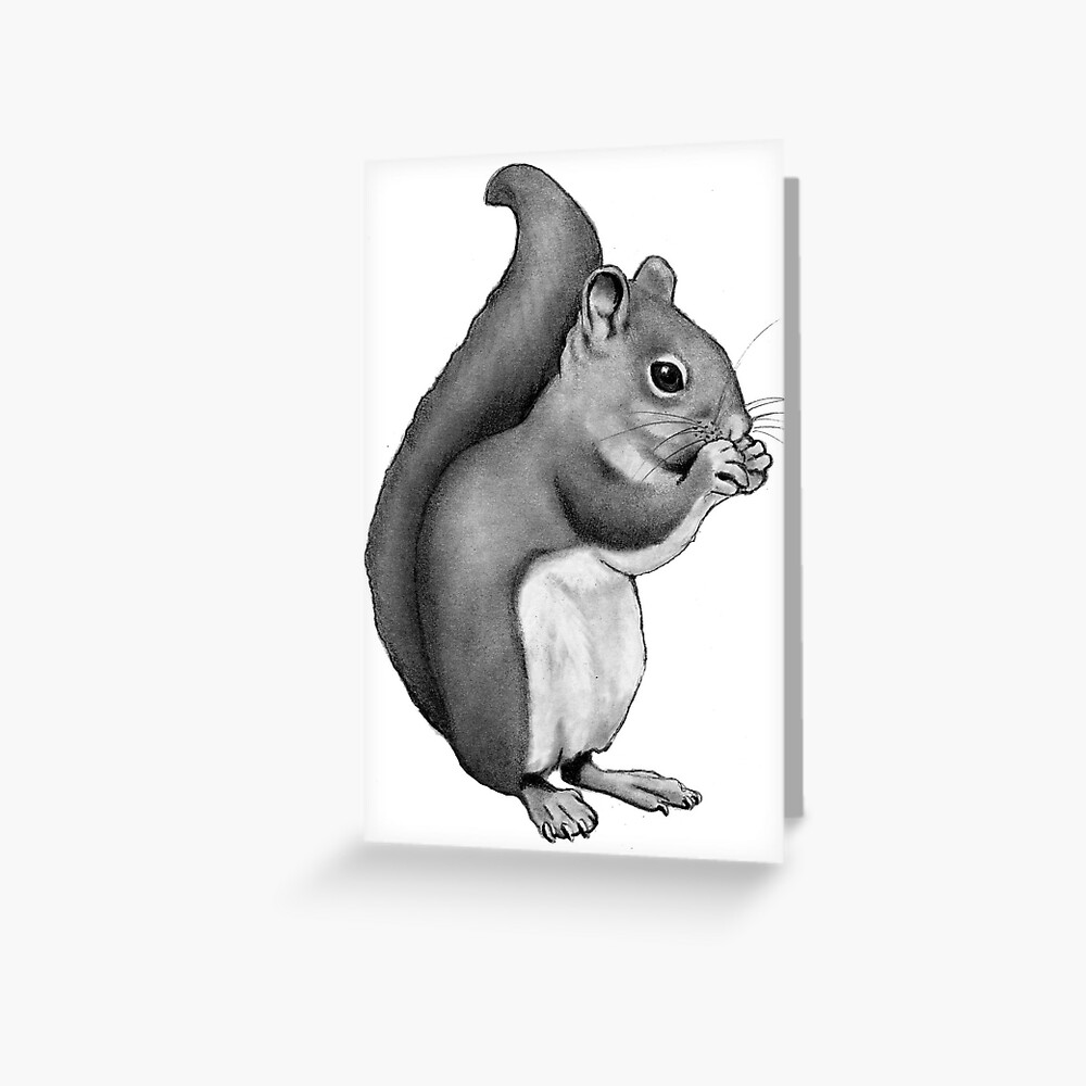 Squirrel Clipart Cute Squirrel Drawing Cartoon Vector, Squirrel, Clipart,  Cartoon PNG and Vector with Transparent Background for Free Download