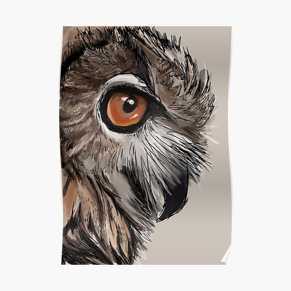 Night Owl Poster