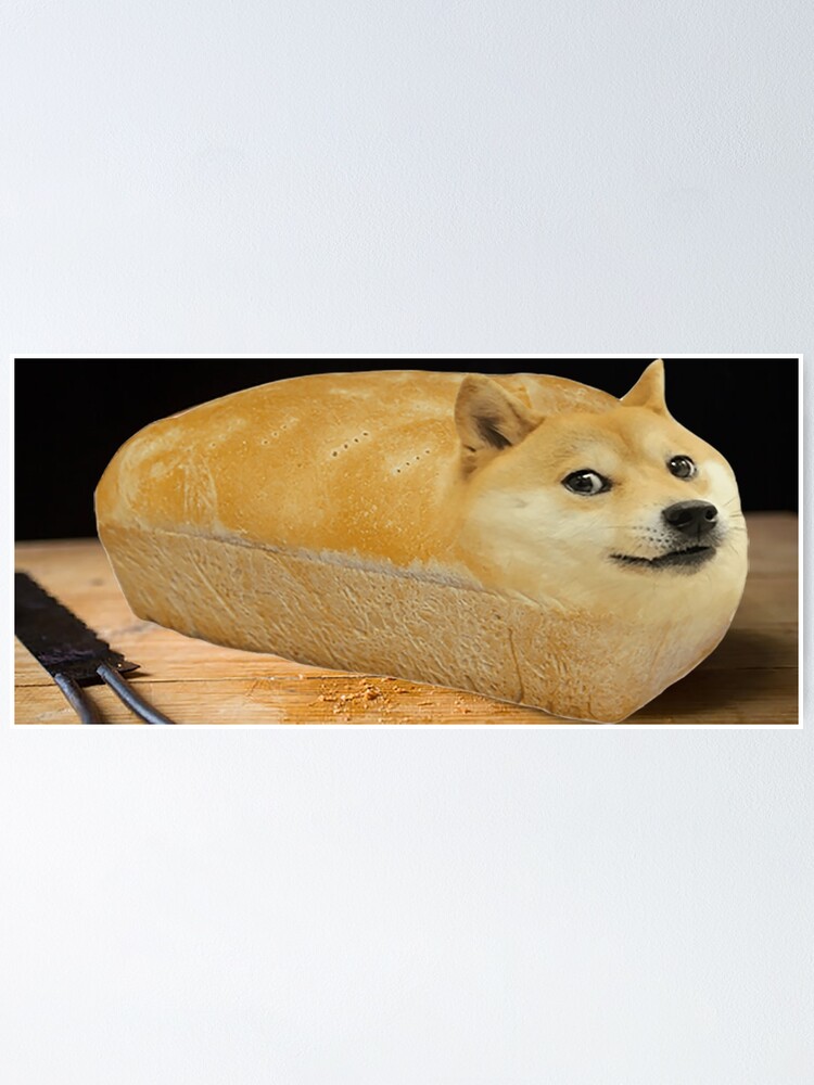 bread shiba