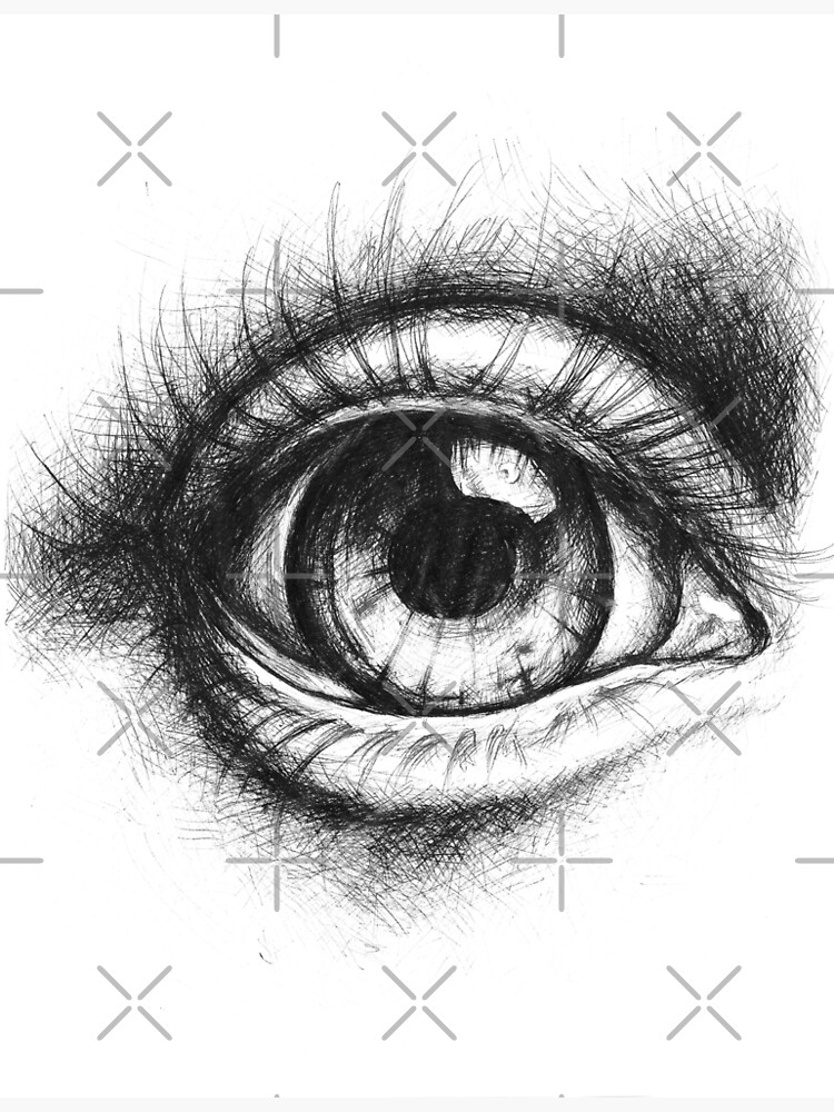 sketch of human eye hand-drawn by blue ink on white paper Stock Photo -  Alamy