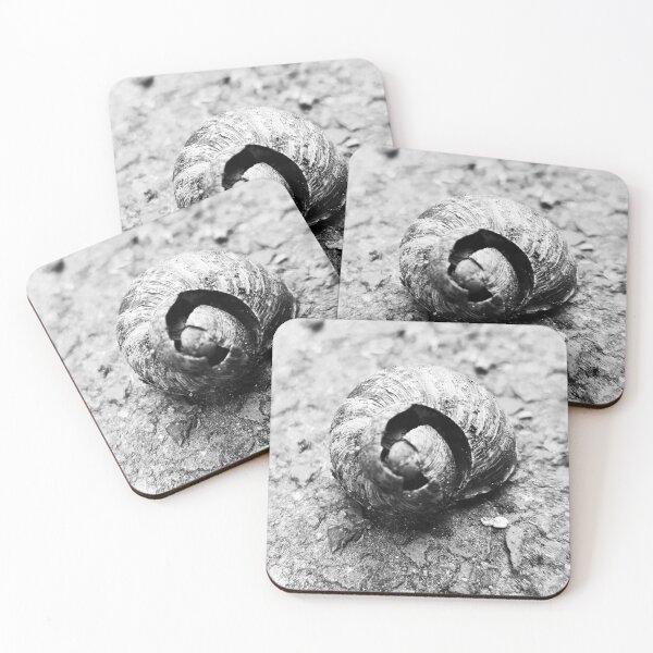 Item preview, snail shell designed and sold by Trish409.