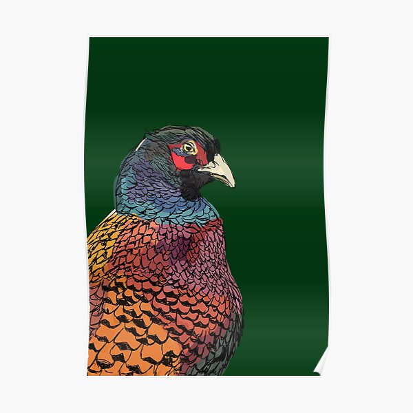 Pheasant Poster