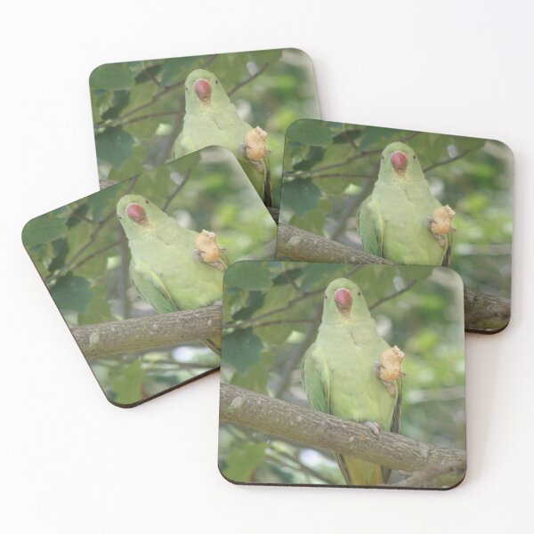 Item preview, Funny Ring Necked Parakeet and Peanut Photograph designed and sold by naturegallery.