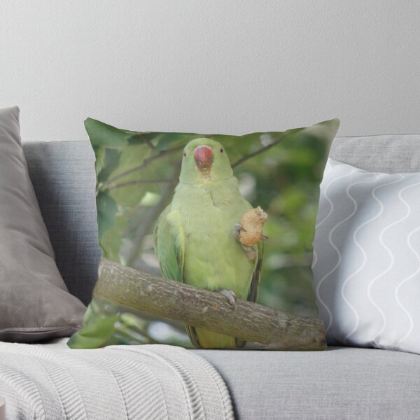 Item preview, Funny Ring Necked Parakeet and Peanut Photograph designed and sold by naturegallery.