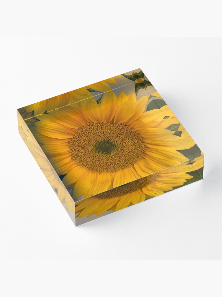 Alternate view of Sunflower, Yellow flower, Sunflower mask Acrylic Block