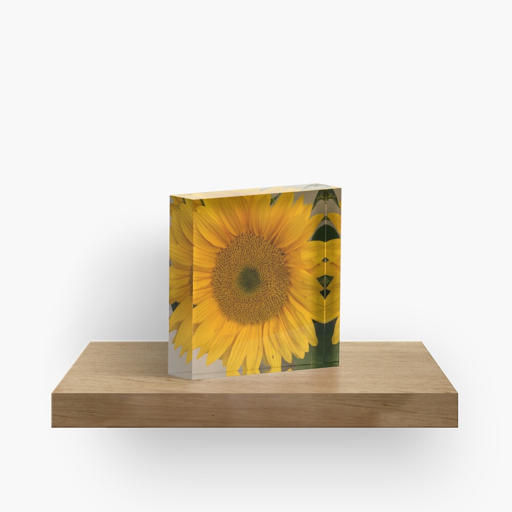 Sunflower, Yellow flower, Sunflower mask Acrylic Block