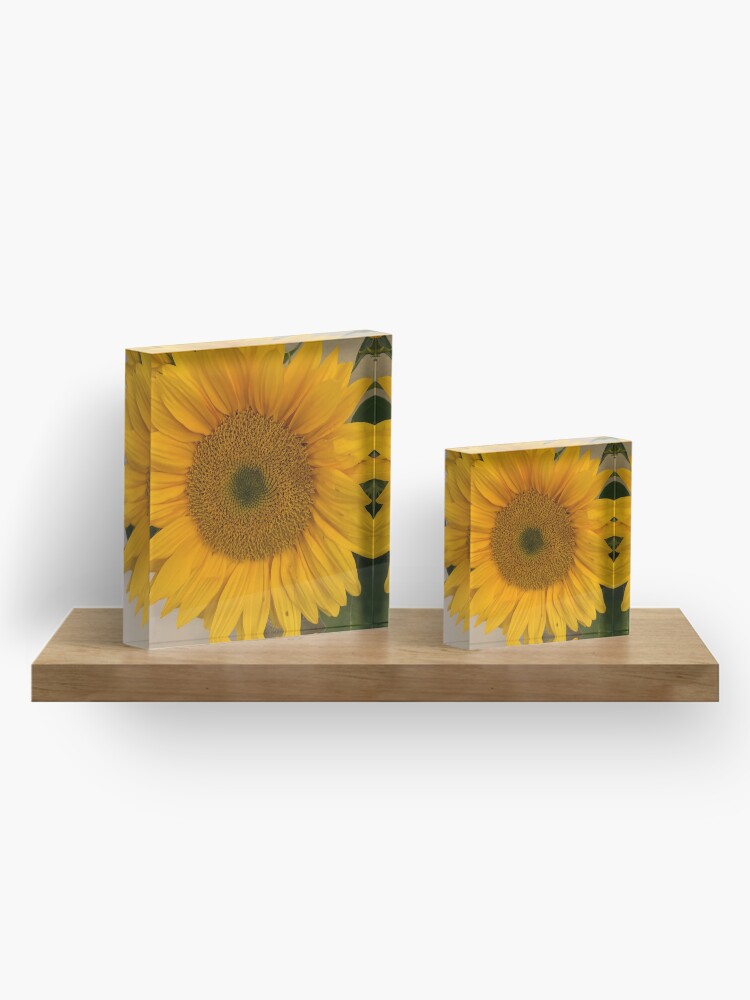Alternate view of Sunflower, Yellow flower, Sunflower mask Acrylic Block