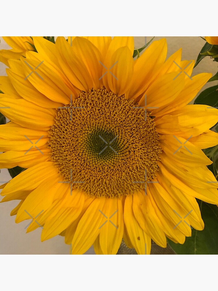 Sunflower, Yellow flower, Sunflower mask by PicsByMi