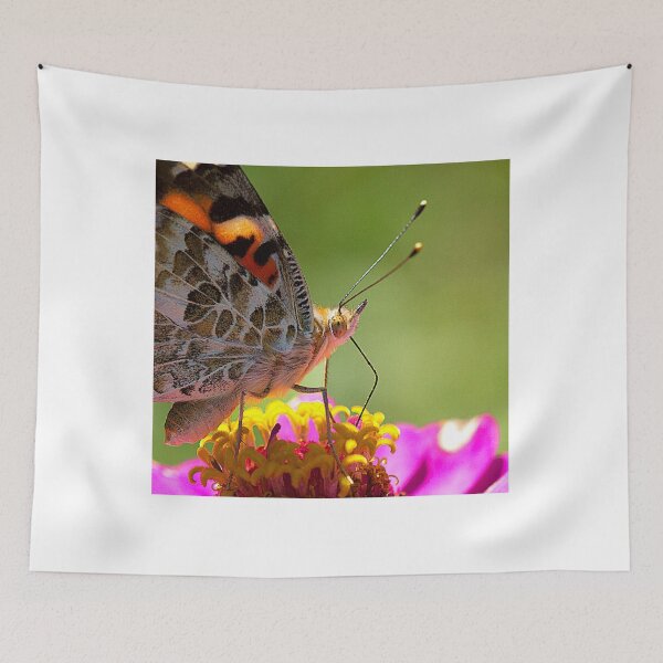 Item preview, Painted Lady Closeup designed and sold by Brenda Burnett.