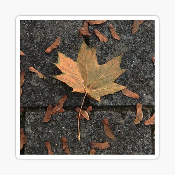 Autum Days Sticker