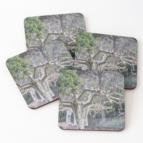 Item preview, Chateau d'Astros autumn  designed and sold by BIPHOTONEWS.