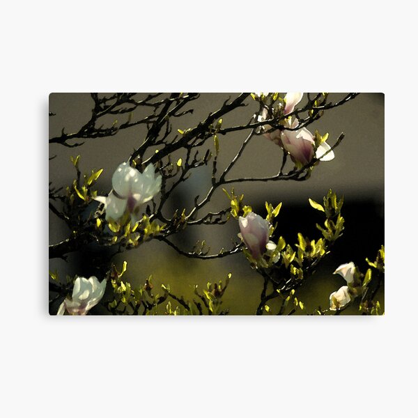 Spring Time Canvas Print