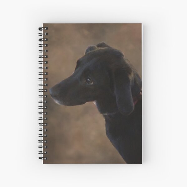 Spiral Notebook