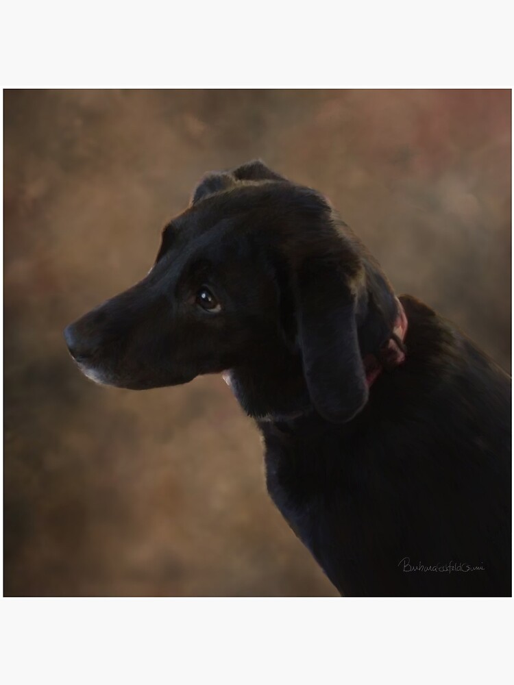 Reilly the Black Lab by DolphinPod