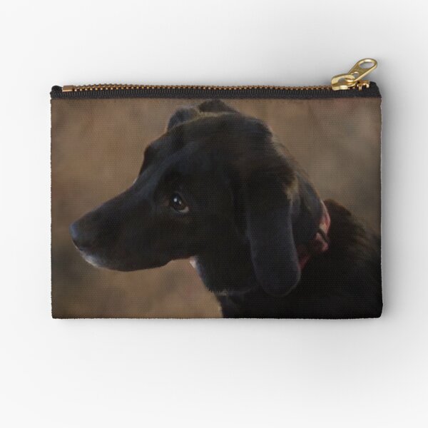 Zipper Pouch