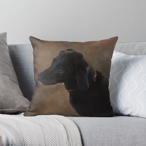 Throw Pillow
