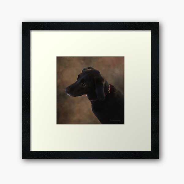 Framed Print