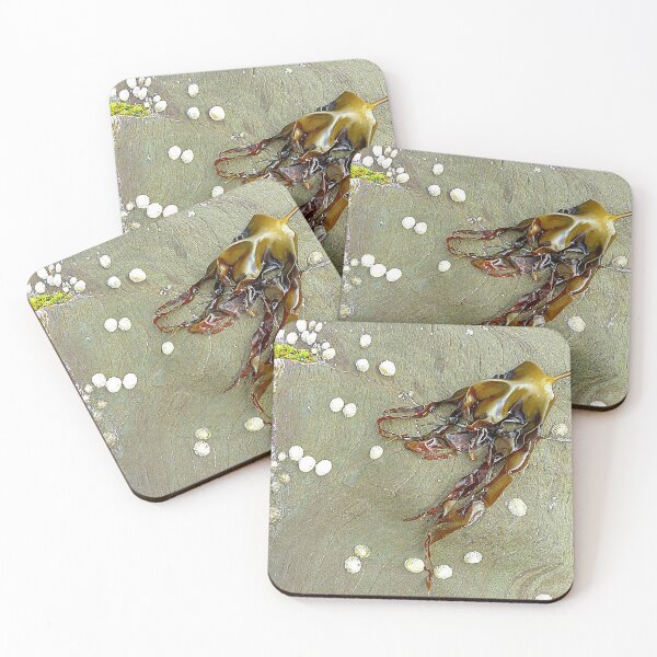 Item preview, Seaweed And Shells designed and sold by Fara.