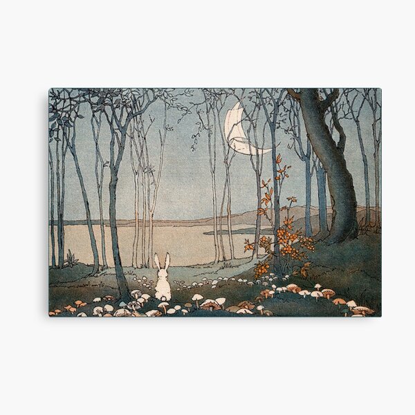 Bunny and the New Moon - Shirley Kite Canvas Print