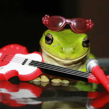 Artwork thumbnail, Frog Rocker by Cathie Trimble