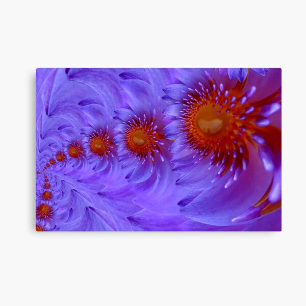 lotus infinite love Canvas Print