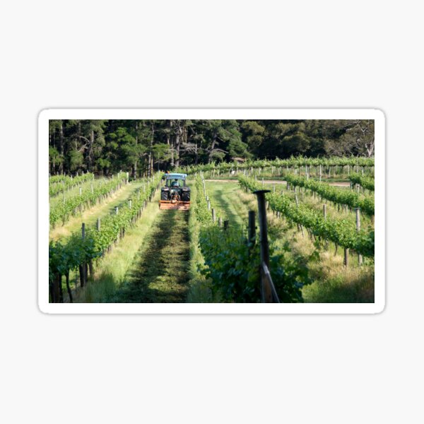 Item preview, Cultivating  - Magpie Springs - Adelaide Hills Wine Region - Fleurieu Peninsula - by South Australian artist Avril Thomas designed and sold by MagpieSprings.