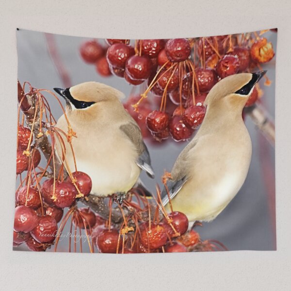 Item preview, Feathers and Cherries designed and sold by Yannik Hay.