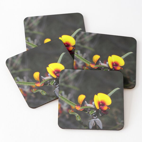 Item preview, Flowers - A Bright Yellow Australian Native Pea Flower, Western Australia designed and sold by Jason Gilbert.