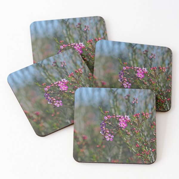 Item preview, A Bright Pink Purple Geraldton Wax Flower Taken In The Southwest of Western Australia designed and sold by Jason Gilbert.