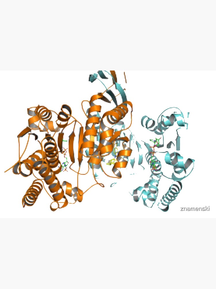 #Enzyme #Informatics, #EnzymeInformatics, #particle #chemistry #medicine #biology #science #biochemistry #shape #chemical #illustration #acid #connection #design #symbol #molecular #insect #horizontal by znamenski