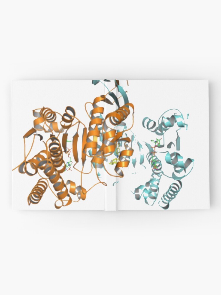 Alternate view of #Enzyme #Informatics, #EnzymeInformatics, #particle #chemistry #medicine #biology #science #biochemistry #shape #chemical #illustration #acid #connection #design #symbol #molecular #insect #horizontal Hardcover Journal
