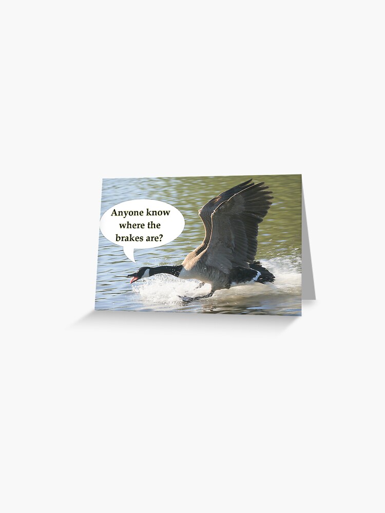 Thumbnail 1 of 2, Greeting Card, Bird Brakes designed and sold by Peter Barrett.