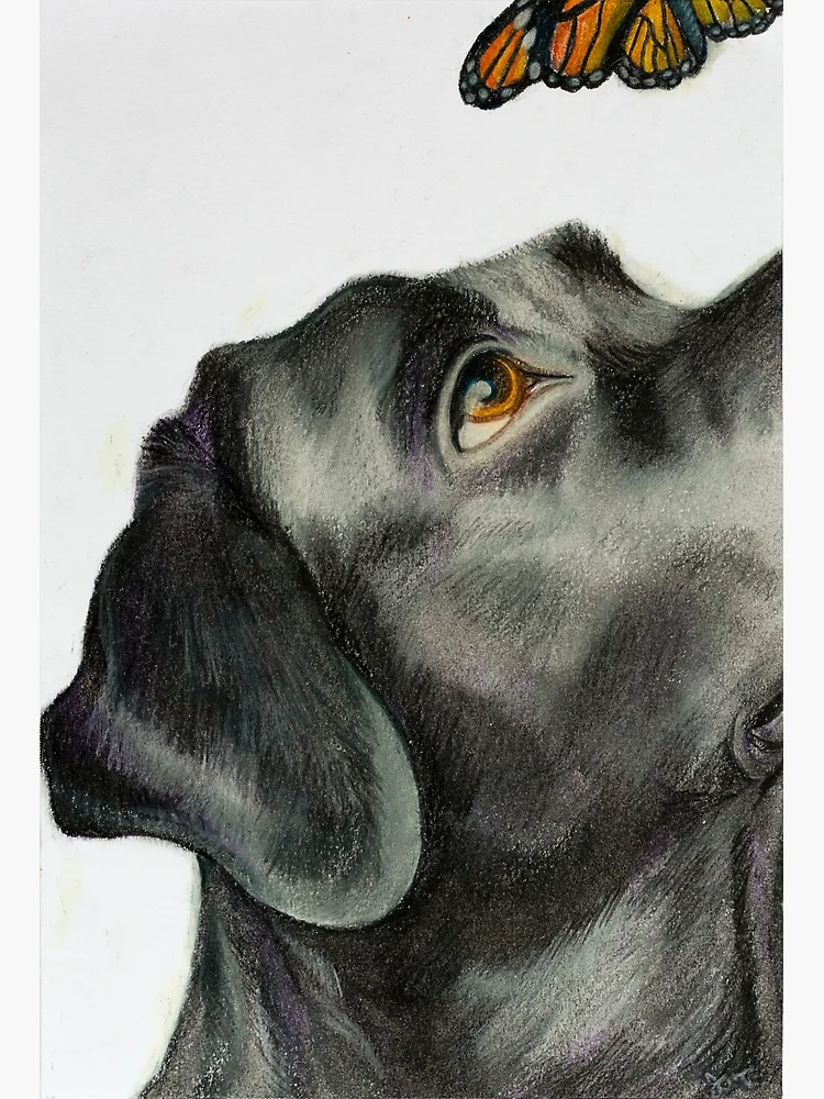 Cuaderno de espiral for Sale con la obra «Dibujo al carboncillo para perros  Russell Play Sketch» de Jessica Tomaino