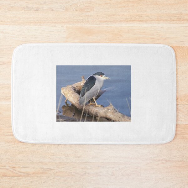 Item preview, Black-Crowned Night Heron designed and sold by RichImage.