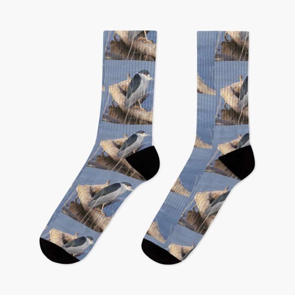 Item preview, Black-Crowned Night Heron designed and sold by RichImage.