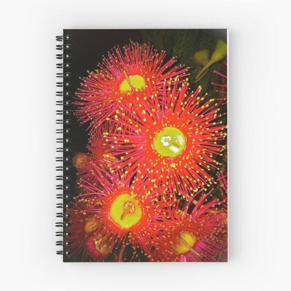 Item preview, Eucalyptus flowers designed and sold by saqqaraart.