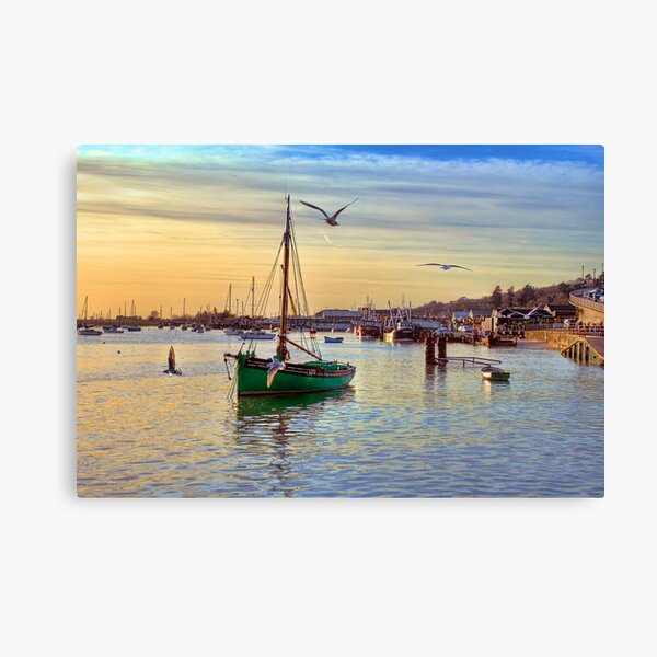 Endeavour Canvas Print