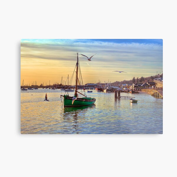 Endeavour Metal Print