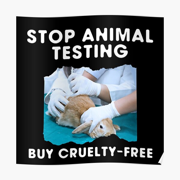 Stop Animal Testing Stop Animal Testing