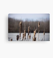 Winter Reeds - Diamond Lake Leinwanddruck