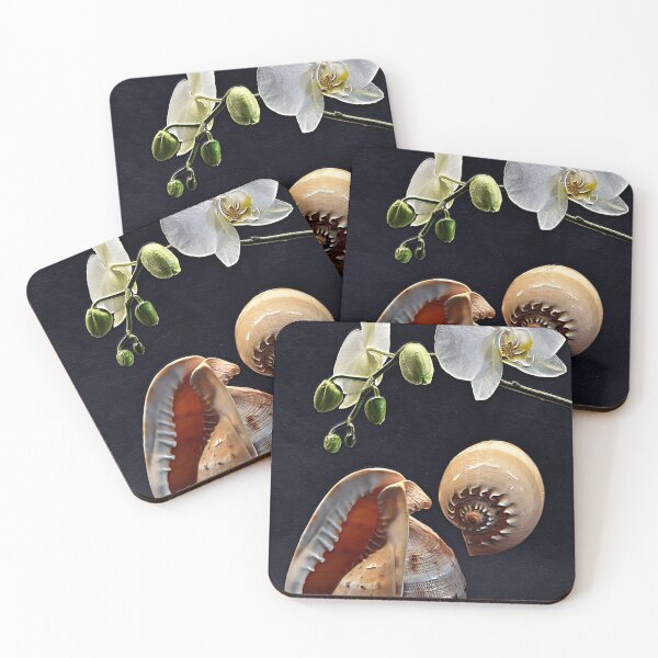 Item preview, Orchid and two seashells designed and sold by andreisky.