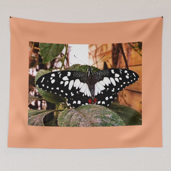 Item preview, The Lime Butterfly designed and sold by PictureNZ.