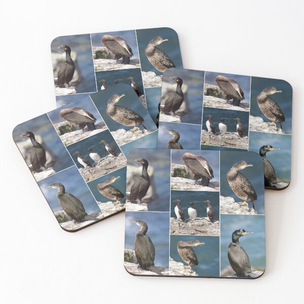 Item preview, seabirds designed and sold by KathleenDawson.