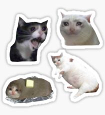 sad cats Sticker