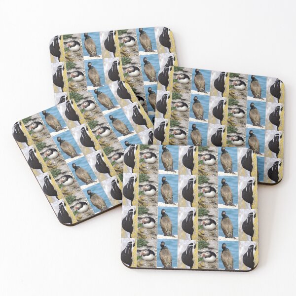 Item preview, seabirds designed and sold by KathleenDawson.