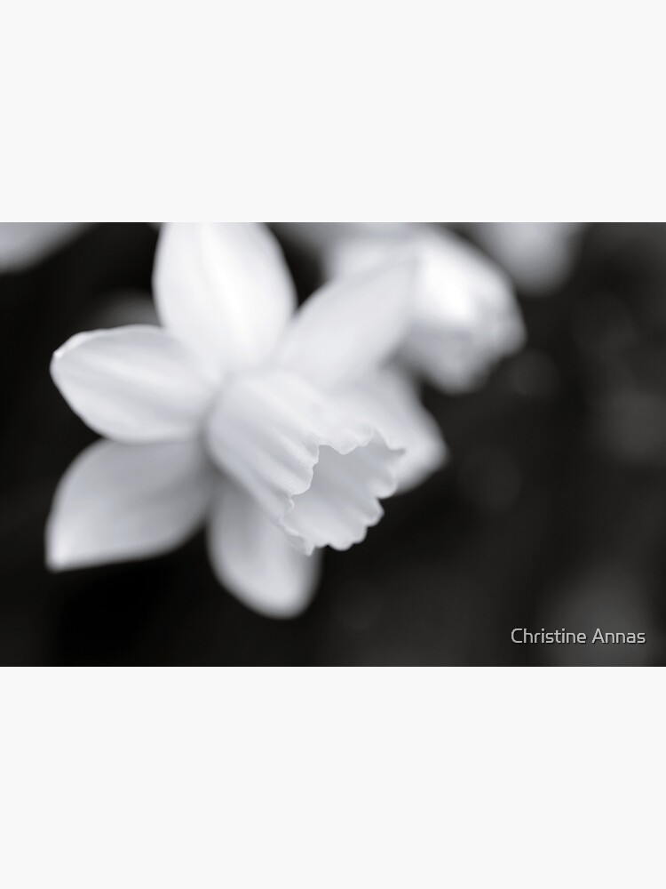 Softly by 2Bricks